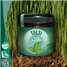 Tulsi